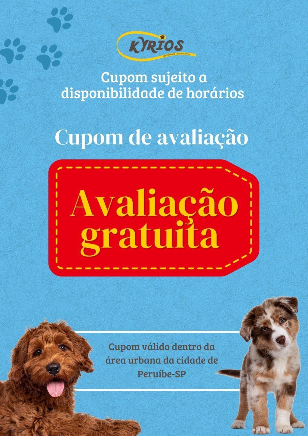 Kyrios Adestramento e Dog Walker com desconto pra você no Clube de Descontos Sunway!